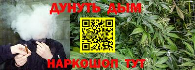 эйфоретик Можга