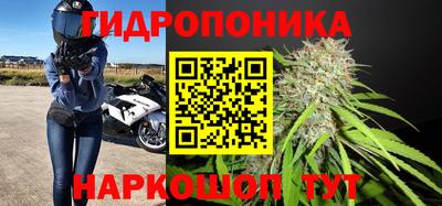 эйфоретик Можга