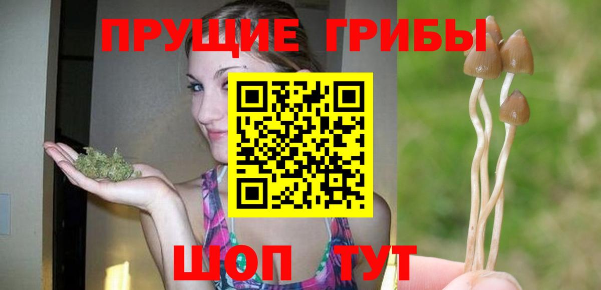 Псилоцибиновые грибы Psilocybine cubensis  Вход с VPN  Псилоцибиновые грибы Cubensis  Ульяновск 